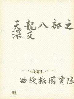 天龙八部之极乐深交封面