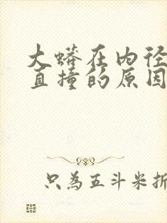 大蟒在内径横冲直撞的原因