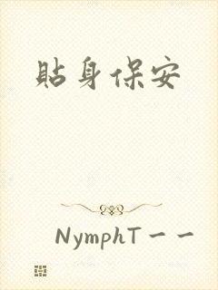 贴身保安封面