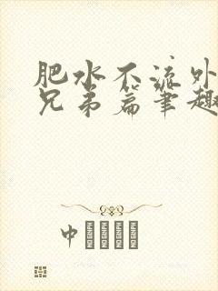 肥水不流外人田兄弟篇笔趣阁小说