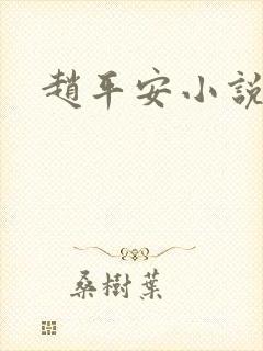 赵平安小说主角