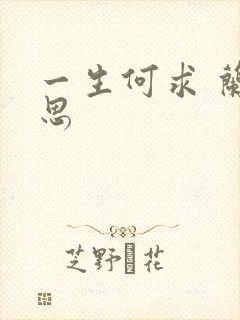 一生何求 兰思思