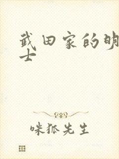 武田家的明国武士