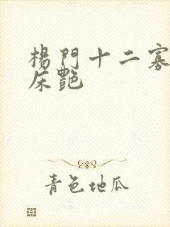 杨门十二寡妇肉床艳封面