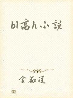bl高h小说