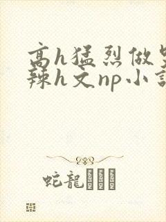 高h猛烈做哭高辣h文np小说