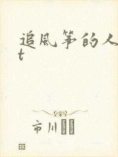 追风筝的人txt封面