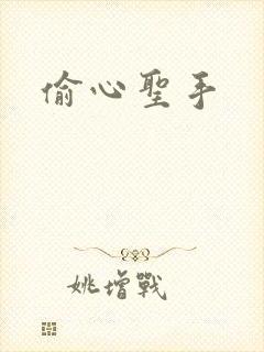 偷心圣手封面