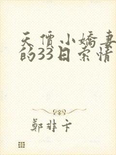 天价小娇妻总裁的33日索情
