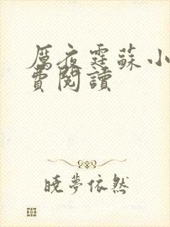 厉夜霆苏小汐免费阅读