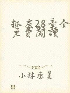 抓灰28章全部免费阅读