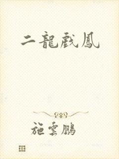 二龙戏凤