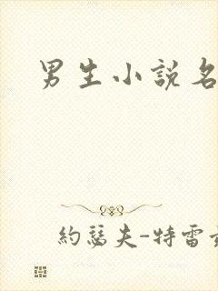 男生小说名字封面