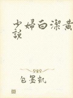 少妇白洁黄色小说