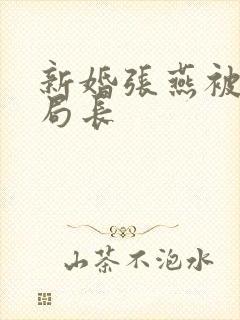 新婚张燕被两个局长