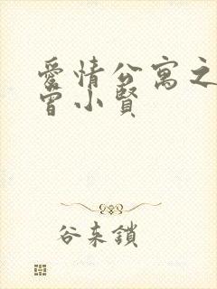 爱情公寓之极品曾小贤封面