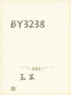 BY3238封面