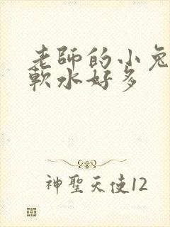 老师的小兔子好软水好多