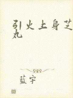 引火上身芝麻糖丸