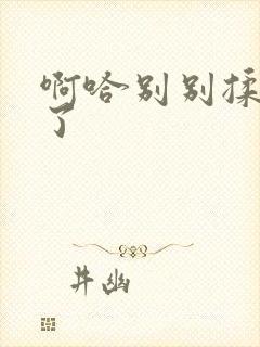 啊哈别别揉那处了封面