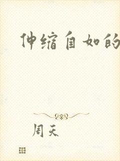 伸缩自如的爱封面