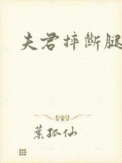 夫君摔断腿后封面