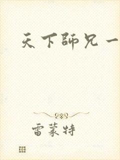 天下师兄一般黑封面