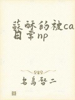 苏酥的被cao日常np封面