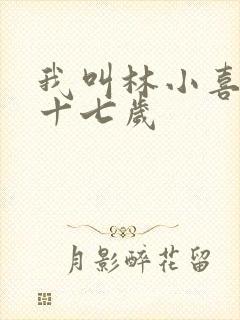 我叫林小喜今年十七岁封面