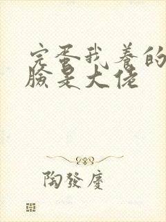 完蛋我养的小白脸是大佬