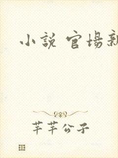 小说 官场新贵