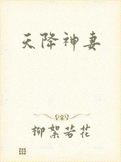 天降神妻