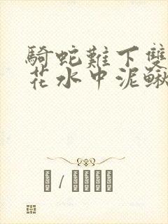 骑蛇难下双金银花水中泥鳅封面