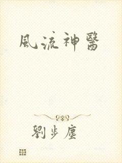 风流神医封面