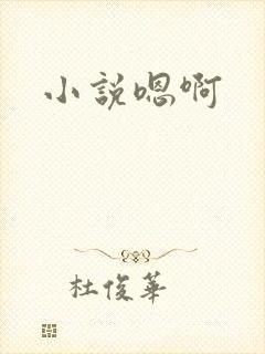 小说嗯啊封面
