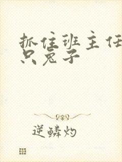 抓住班主任的两只兔子封面