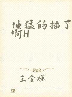 他猛的插了进去啊H