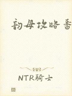 韵母攻略番外封面