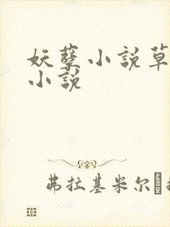 妖孽小说草莓酱小说