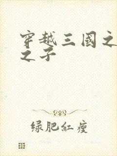 穿越三国之袁绍之子