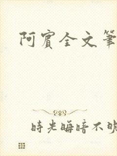 阿宾全文笔趣阁