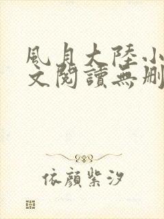 风月大陆小说全文阅读无删减