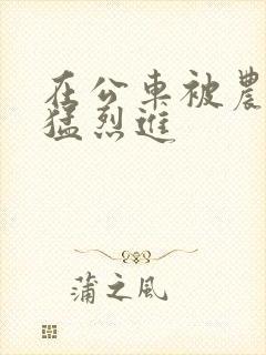 在公车被农民工猛烈进