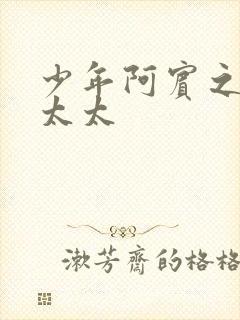 少年阿宾之房东太太