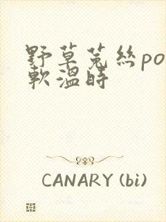 野草菟丝po温软温时