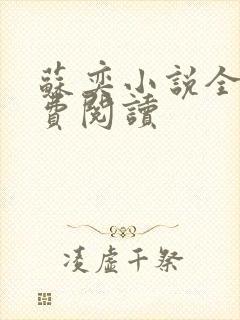 苏奕小说全文免费阅读