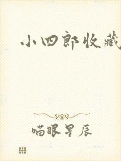 小四郎收藏家封面