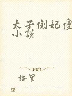 太子侧妃傻乎乎小说