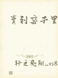 卖到窑子里np封面