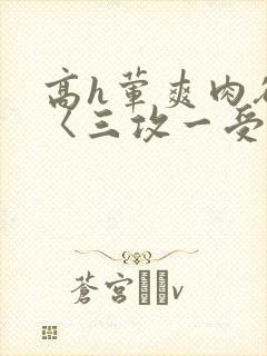 高h荤爽肉欲文〈三攻一受〉视频